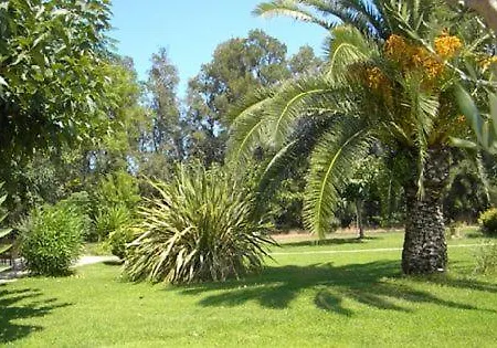 Les Oliviers Lucciana (Corsica)