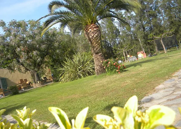 Hotel Les Oliviers Lucciana (Corsica)