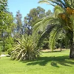 Les Oliviers Lucciana (Corsica)