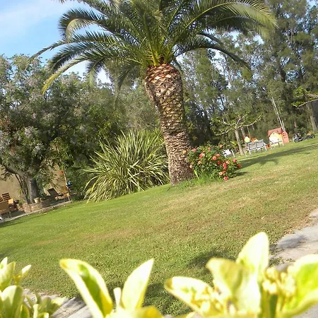 Отель Les Oliviers Люссиана