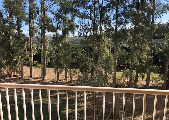 Otel Les Oliviers Lucciana (Corsica)