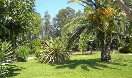 Les Oliviers Lucciana (Corsica)