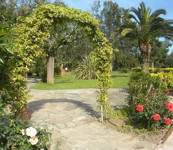 Hotel Les Oliviers Lucciana (Corsica)